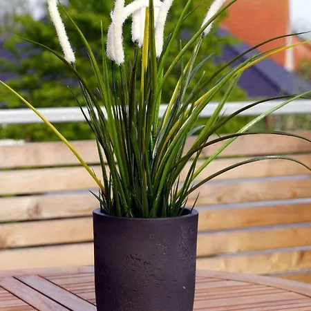 Hirtenstaller Duene Büsum